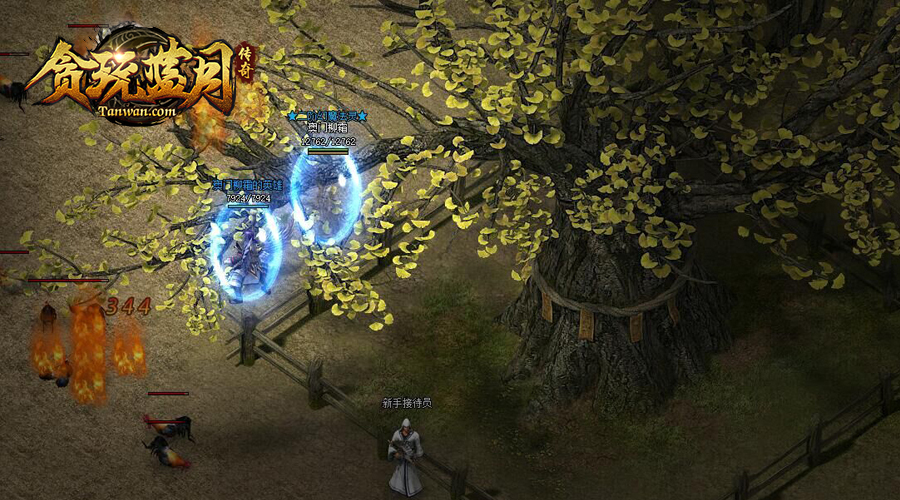 贪玩蓝月游戏截图8