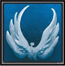 ����ɱ��ʹ��ô�� ��ʹ������ʲô