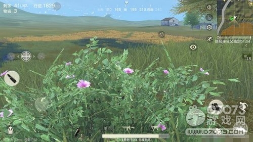 ��Ұ�ж�����ħ��ѧ����·