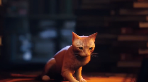 猫猫模拟《流浪》前瞻演示 成为孤身离群的流浪猫