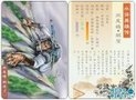 ˮ�108��֮�ⱦ С����ղذ�