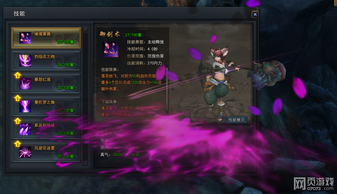 ������ְҵ���ܽ���