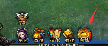 武极天下商城系统介绍