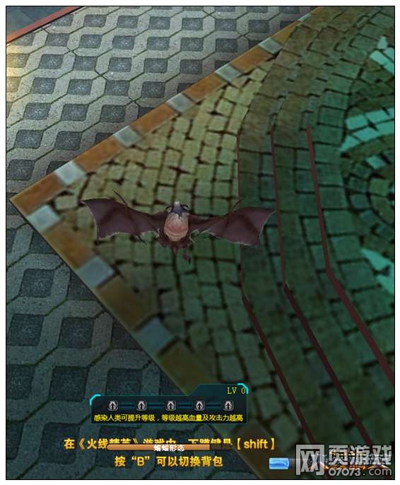 ���߾�ӢѪ�Ȳ������������