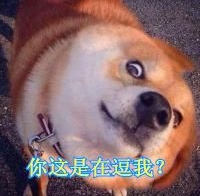 【有fà可说】火线精英欢乐推推推 就你也想推我?