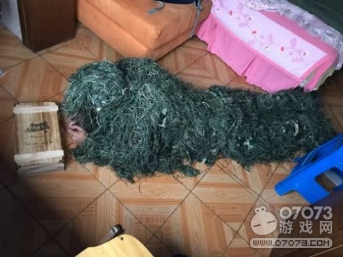 ��Ұ�ж���������ЦCOS����