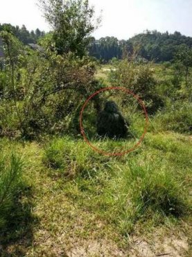 荒野行动吉利服搞笑COS分享