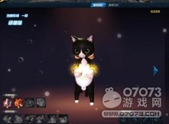 剑灵洪门崛起喵宠进阶攻略 喵宠怎么进阶