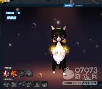 剑灵洪门崛起喵宠进阶攻略 喵宠怎么进阶