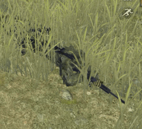 ��Ұ�ж�ʮ������ϸ���� �������������