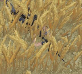 ��Ұ�ж�ʮ������ϸ���� �������������