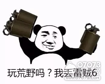 ��Ұ�ж����ײ�ͬ�ǶȲ��� ʵս�����Ƽ�