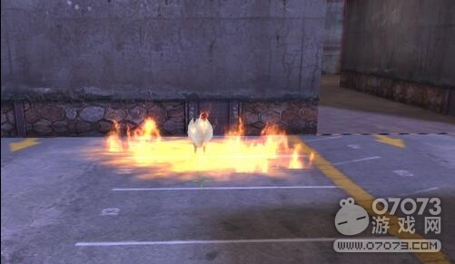 �����ѻ��桤��