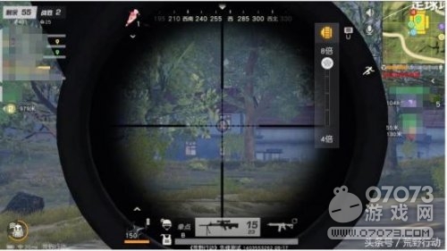 ��Ұ�ж�ӥ�����������ɵ� ��ο���Ѱ�ҵ���