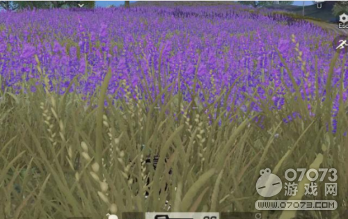 ��Ұ�ж�������������� �¹ʶ෢�����˽�һ��