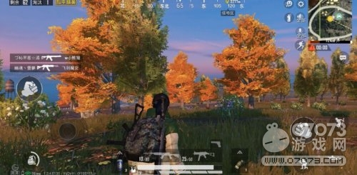 ��ƽ��Ӣ��Ҷ�ֳ����ع� �������ʥ��