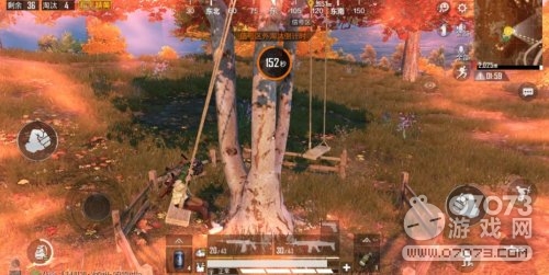 ��ƽ��Ӣ��Ҷ�ֳ����ع� �������ʥ��